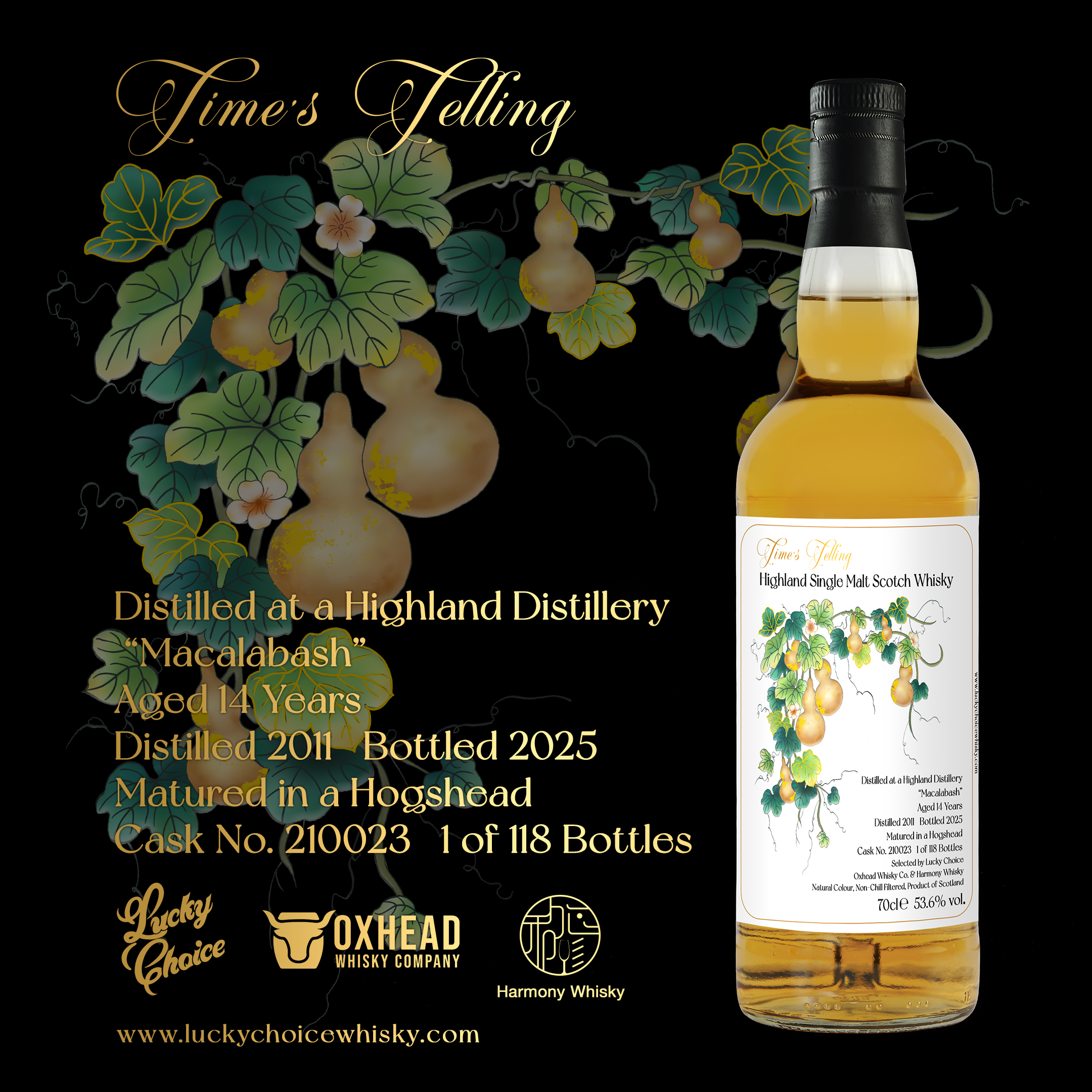 ハイランドシングルモルトウイスキー 2011-2025 14年 – 乾杯会