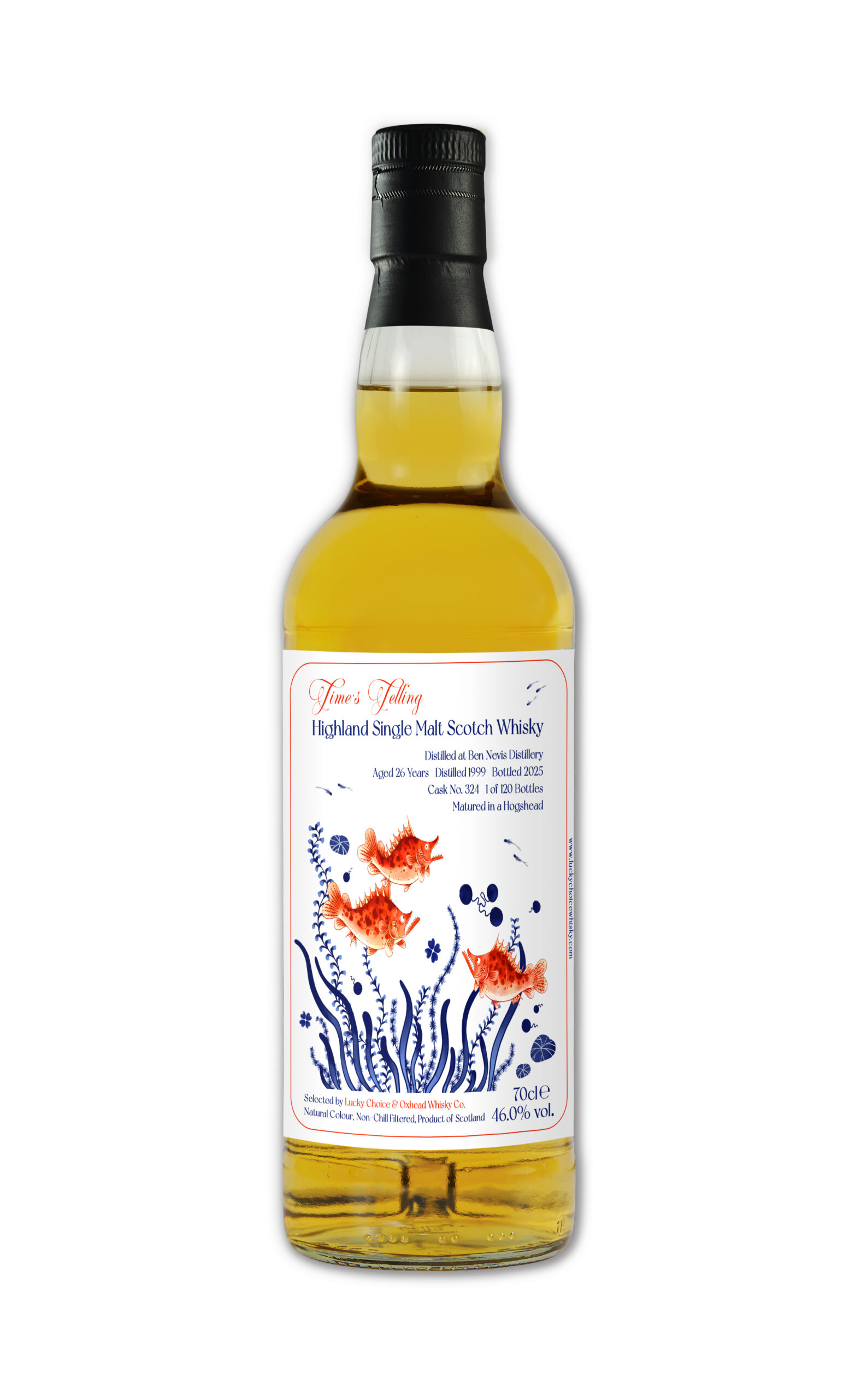 2月14日発売】ベン・ネヴィス 1999–2025 26年 – 乾杯会