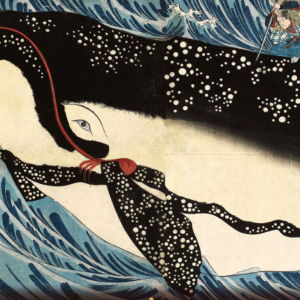 【振込限定】乾杯会国産フェア   Dセット